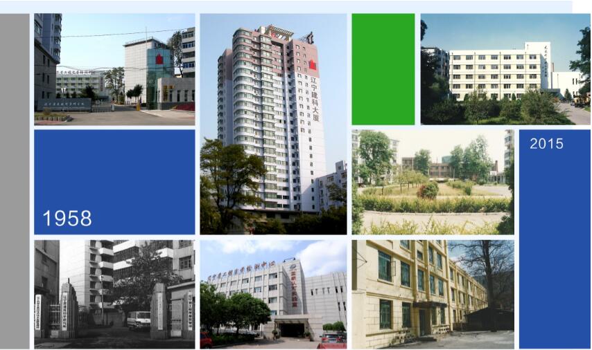 发展历程(图1) 发展历程(图1)