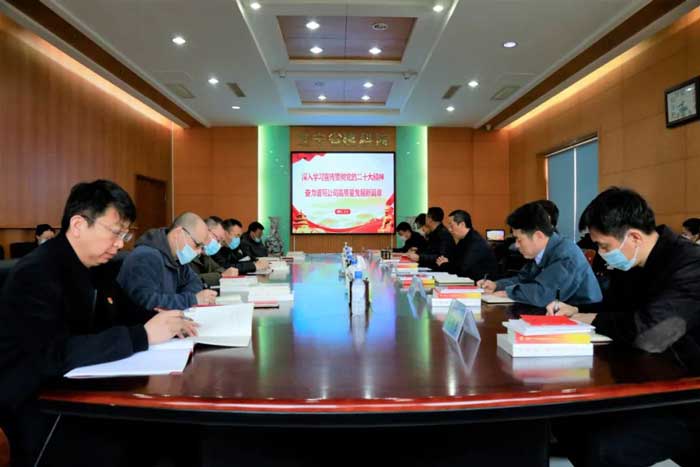深入学习宣传贯彻党的二十大精神奋力谱写公司高质量发展新篇章(图2) 深入学习宣传贯彻党的二十大精神奋力谱写公司高质量发展新篇章(图2)